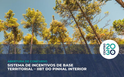 Centro 2030 lança concurso de 4 milhões para apoiar micro e pequenas empresas do Pinhal Interior